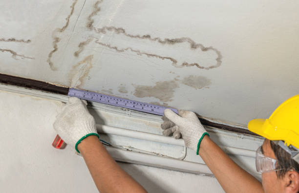 Reliable Water Damage Repair contractor in Severn, MD by Hirex Water Damage
